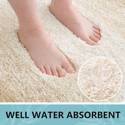 Arotive Microfiber Bathroom Rugs, Shaggy Soft Absorbent Bath Rug, 44x24