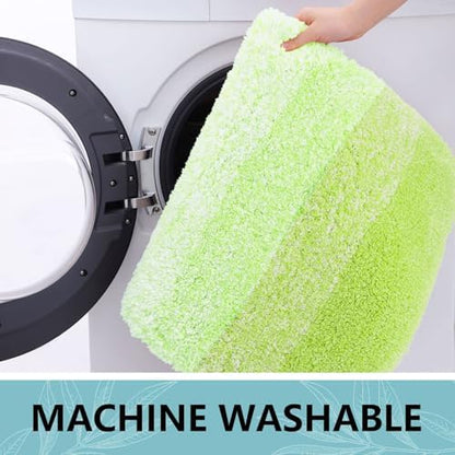 Arotive Microfiber Bathroom Rugs, Shaggy Soft Absorbent Bath Rug, 30x20