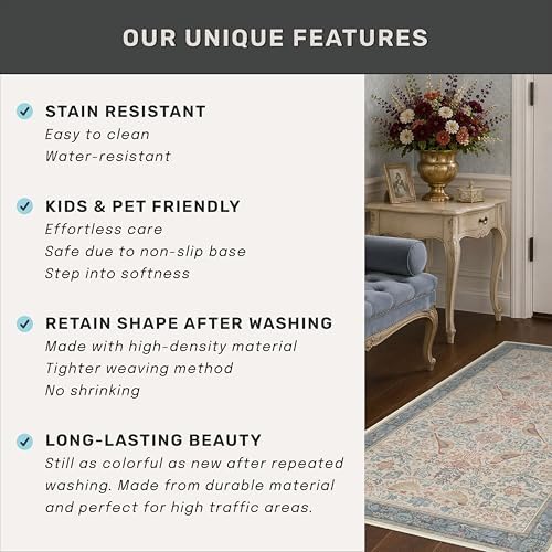 Boho Floral Bird Pattern 4x6 Large Mudroom Rug - Natural Red Blue Washable Reading Corner Area Rug, Modern Vintage Kitchen Floor Carpet, Low Pile Non-Slip Carpet for Door Mat Indoor Entrance