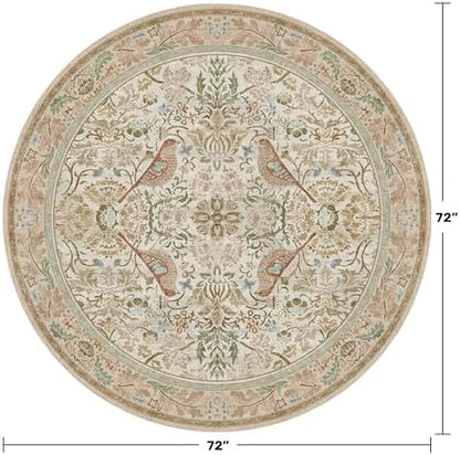 Hazo Haus Beige 6ft Round Rug for Living Room - Floral Circle Area Rug for Bedroom Kids Room, Home Office, Washable Low Pile Non Slip, Vintage Beige Taupe Botanical & Bird Pattern, Boho Indoor Décor