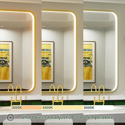 24x32 Inch Gold LED Bathroom Mirror with Lights,3000K/4500K/6000K