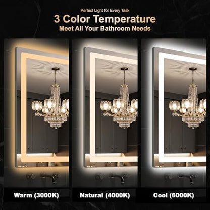 Delma 30x40 LED Bathroom Vanity Mirror with Lights, Anti-Fog, Dimmable