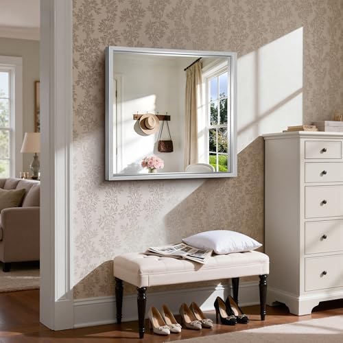 CIRCUMI 30"x30" Brushed Silver Bathroom Mirror, Square Mirror for Vanity