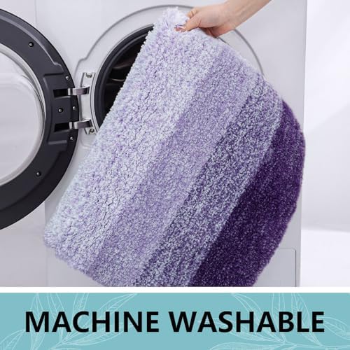Arotive Microfiber Bathroom Rugs, Shaggy Soft Absorbent Bath Rug, 44x20