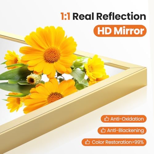 Sweetcrispy 20"x30" Arched Gold Bathroom Mirrors for Wall