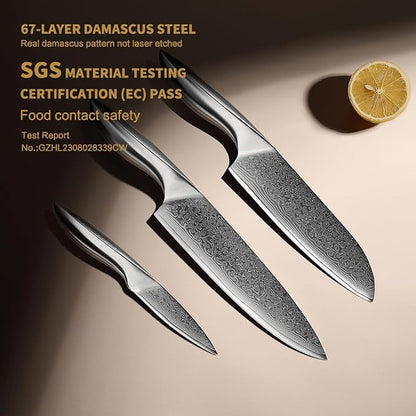 3 PCS Damascus Chef Knife Set, Ultra-Smooth Cutting Experience and Professional Grade Sharp, Kitchen Knife Set,Handle Ergonomic Design,9CR18MOV High Carbon Stainless Steel,Dishwasher Safe