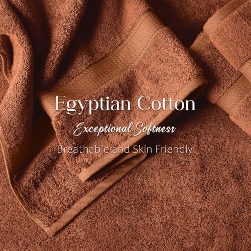 SUPERIOR Egyptian Cotton Plush & Absorbent, Hand Towel Set of 4, Rust