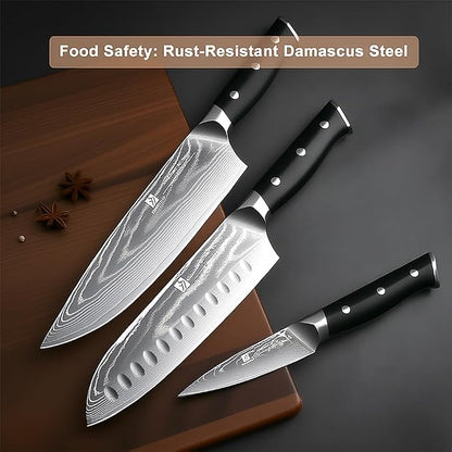 5-Piece Damascus Chef Knife Set: High Carbon Stainless Steel, Professional Ultra Sharp Kitchen Knife Set with Ergonomic Black Handle - Chef/Santoku/Paring/Bread/Brisket/Boning Knives in Gift Box