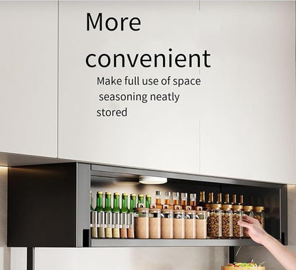 2 Tier Pull-Out Cabinet Organizer, Drop Down Shelf Dish and Spice Rack, Wall Cabinet Storage Organizer with Door and Handle, Cabinet for Kitchen(80cm)