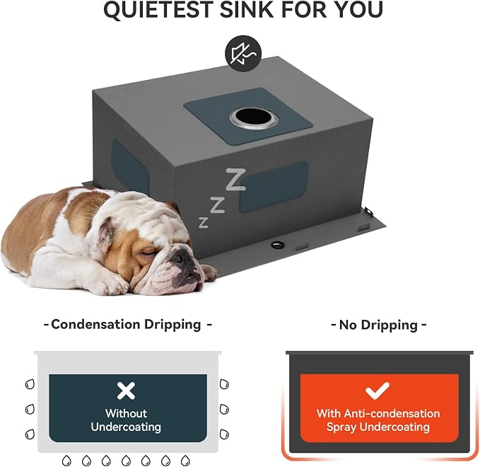 Lordear Drop In Laundry Sink with Faucet 22"x22"x12" Topmount Utility Sink 16 Gauge Stainless Steel Single Bowl for Laundry Room