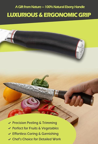 YOUSUNLONG Chef's Knife - 8 Inch Gyuto Kitchen knives - Razor Sharp Knife - Japanes Hammered Damascus Steel - Natural Ebony Handle with Leather Sheath