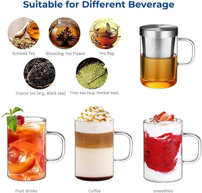ecooe 16.9 OZ Borosilicate Glass Tea Mug Cup Glasses with Stainless Steel Infuser & Lid, Loose Leaf Tea Cup Clear Teacup 430mL(Use Capacity)
