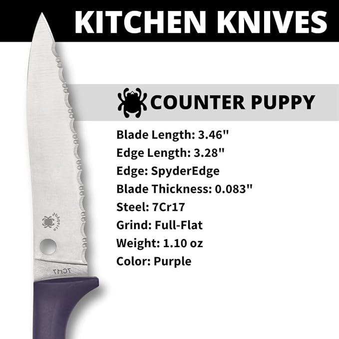 Spyderco Counter Puppy Fixed Blade with 3.48" 7Cr17 Stainless Steel Blade and Plastic Purple Handle - EDC Knife for Men & Women, Perfect for Hunting, Tactical, Camping, Survival - SpyderEdge - K20SPR