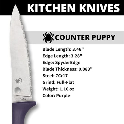 Spyderco Counter Puppy Fixed Blade with 3.48" 7Cr17 Stainless Steel Blade and Plastic Purple Handle - EDC Knife for Men & Women, Perfect for Hunting, Tactical, Camping, Survival - SpyderEdge - K20SPR