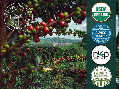 Artizan Coffee USDA Organic Ground Coffee | Heavenly Project Decaf - High Altitude Blend | Dark Roast | Medium Grind for Drip | 10 oz | Roasted in South Florida