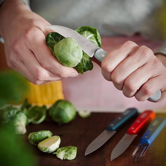 OPINEL Les Essentials - Small Kitchen 4 Piece Knife Set - Paring, Serrated, Peeler, Vegetable Knife, Corrosion Resistant High Carbon Steel, Made in France (Primo)