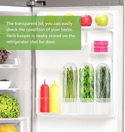Fresh Herb Saver Cilantro Storage Containers for Refrigerator, Transparent Herbs Saver fits Fridge Asparagus Parsley Mint Leaves, Keeps Greens Vegetables for 2-3 Weeks(SIZE:2 pcs)