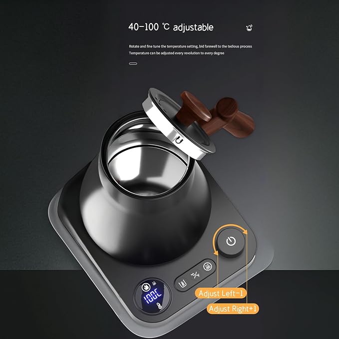 Gooseneck Electric Kettle,Electric Kettles, ±1℉ Temperature Control, Ultra-Quiet 304 Stainless Steel, for Coffee, Tea & Milk, Auto Boil Detection, 8 Safety Protections & Memory Function(Black，0.9L)