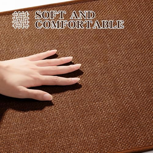 chakme Bathroom Rugs Mat 24x17, Ultra Thin Non Slip Bath Mat Small Quick Dry Absorbent Bath Mat for Bathroom, (Rust, 24"x17")