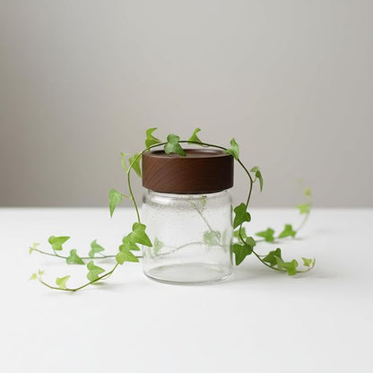 Wide Mouth Glass Storage Jars With 2.5" Acacia Wood Lids - 6 Pack of 4 Oz Food Storage Containers - Borosilicate Glass Canisters Sets For Kitchen - Pantry Organizers and Storage for Rice Coffee Beans