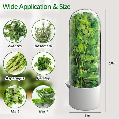2 Pack Herb Keeper for Refrigerator, Clear BPA-Free Fresh Herb Saver, Fridge Storage Container for Cilantro, Parsley, Thyme, Mint & Asparagus for 2-3 Weeks