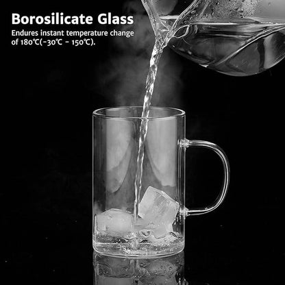 ecooe 16.9 OZ Borosilicate Glass Tea Mug Cup Glasses with Stainless Steel Infuser & Lid, Loose Leaf Tea Cup Clear Teacup 430mL(Use Capacity)