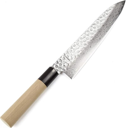 Japanese Chef Knife Hammered Damascus VG-10 46 Layer D-Shape Magnolia Wood Handle, Gyuto 9.5-inch (240mm)