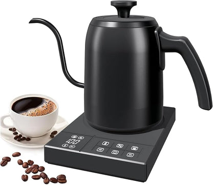 Gooseneck Electric Kettle with ±1℉ Temperature Control & Keep Warm for Pour Over Coffee & Tea, Rapid Boil, 304 Stainless Steel, Built-in Brew Timer, 900W 0.6L (600 ML)
