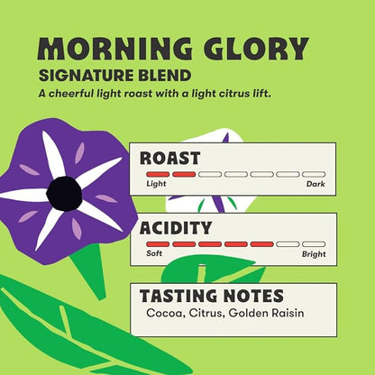 Peace Coffee Morning Glory Signature Blend Ground Light Roast Coffee, 12 oz, Pack of 3, Organic Fair Trade, Smooth, Mild Flavor, Shade Grown, Fresh Roasted