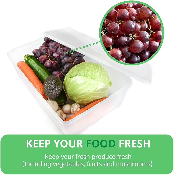 2.4 gal Produce Saver Containers for Refrigerator, Pizza Dough Proofing Box, Vegetable Storage Containers for Refrigerator, Pizza Storage Container, Marinating Container, Pizza Dough Box, Veggie Saver