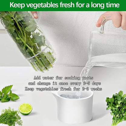 2 Pack Herb Keeper for Refrigerator, Clear BPA-Free Fresh Herb Saver, Fridge Storage Container for Cilantro, Parsley, Thyme, Mint & Asparagus for 2-3 Weeks