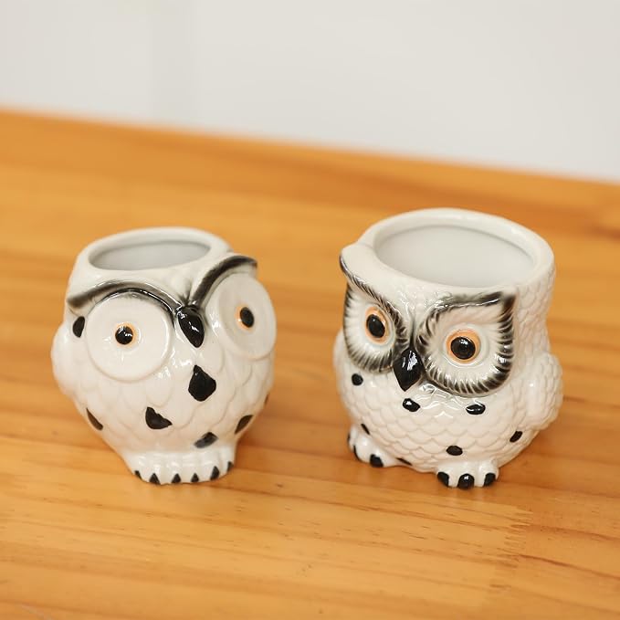 Owl Ceramic Planters Mini Plant Pots 3Inch With Drainage Pen Pencil Holder Cute Decor Flower Planters Gift Packaging Herb Cactus Plant Pots Air Plant Kitchen Window Gardening Starter Set Teacher Gifts