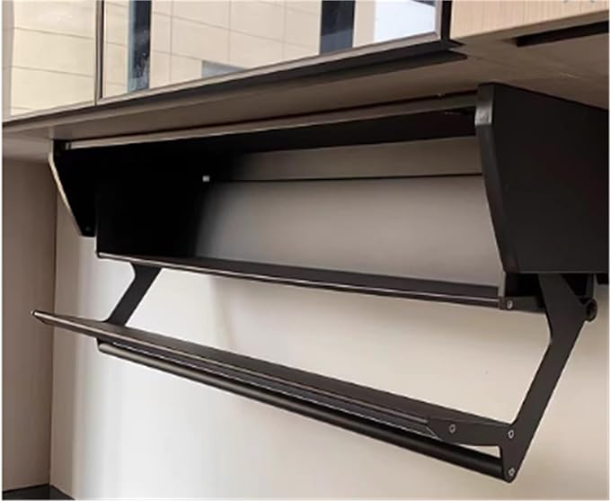 2 Tier Pull-Out Cabinet Organizer, Drop Down Shelf Dish and Spice Rack, Wall Cabinet Storage Organizer with Door and Handle, Cabinet for Kitchen(60cm)