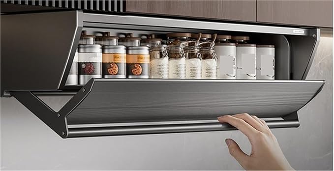 2 Tier Pull-Out Cabinet Organizer, Drop Down Shelf Dish and Spice Rack, Wall Cabinet Storage Organizer with Door and Handle, Cabinet for Kitchen(60cm)
