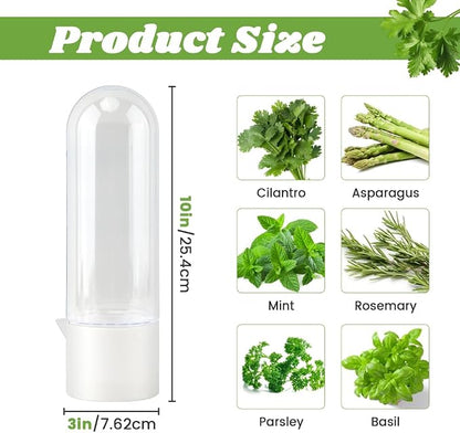 Fresh Herb Saver Cilantro Storage Containers for Refrigerator, Transparent Herbs Saver fits Fridge Asparagus Parsley Mint Leaves, Keeps Greens Vegetables for 2-3 Weeks(SIZE:1 pc)