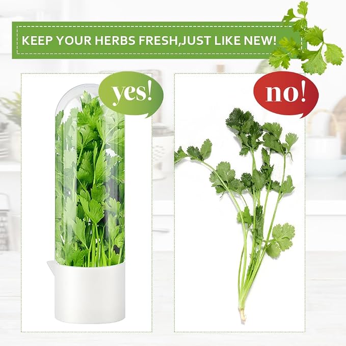 Fresh Herb Saver Cilantro Storage Containers for Refrigerator, Transparent Herbs Saver fits Fridge Asparagus Parsley Mint Leaves, Keeps Greens Vegetables for 2-3 Weeks(SIZE:1 pc)