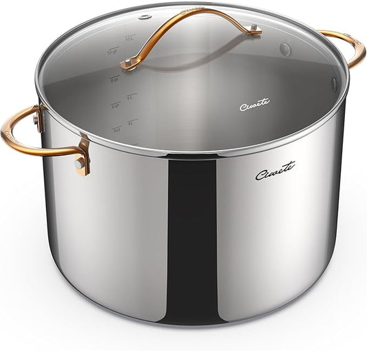 Ciwete 12 Quart Stock Pot with Lid, Upgraded Tri-Ply Stainless Steel Pot, Seamless Large Cooking Pot with Stay-Cool Brass Handle, Healthy Polished Stockpots, Induction Cookware, Oven & Dishwasher Safe