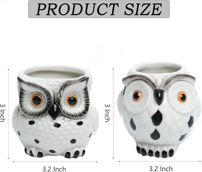 Owl Ceramic Planters Mini Plant Pots 3Inch With Drainage Pen Pencil Holder Cute Decor Flower Planters Gift Packaging Herb Cactus Plant Pots Air Plant Kitchen Window Gardening Starter Set Teacher Gifts