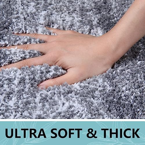 Arotive Microfiber Bathroom Rugs, Shaggy Soft Absorbent Bath Rug, 44x24