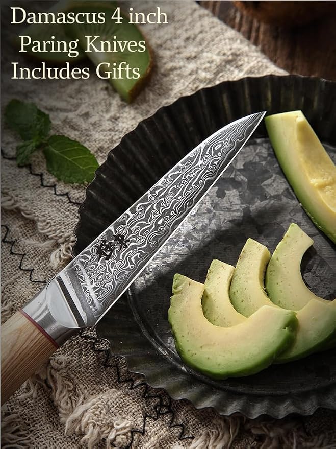 DONGSUN 4 Inch Damascus Paring Knife with North American Black Walnut Sheath, 67-Layer VG10 Forged Steel Japanese Fruit Knife, Professional Durable Sharpness