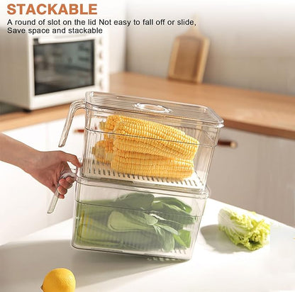 2 Pack Plastic Food Storage Produce Containers for Fridge, Stackable Lettuce Keeper for Refrigerator with Removable Drain Tray Keep Fresh for Vegetables/Fruit/Berry/Salad - 10'' x 5.3'' x 5.2''
