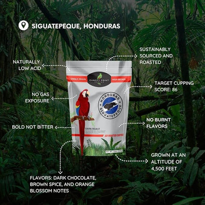 Canopy Point Coffee Honduras Dark Roast | Whole Bean for smooth Espresso, Cold Brew, French Press, Moka Pot, Pour Over | Arabica specialty small batch roasted to order with strong natural chocolate notes & aroma | Non-Toxic Air Roasted French Roast (Wh...