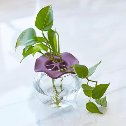 Modern Sprout Botanical Keeper for Floral Arranging & Plant Propagation - Eco-Friendly, BPA-Free, Sustainable Materials - Hydration Tray - Gift for Plant Lovers and Gardeners - 2 Pack