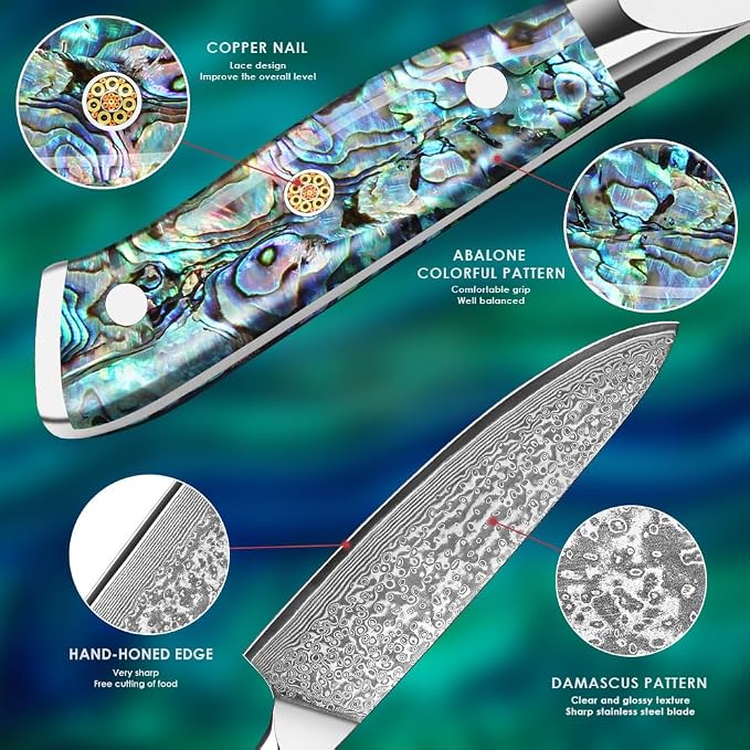 Home Safety Japanese Damascus Knife, Chef's Knife with Sharp 20cm Blade Made of 67 Layers of VG-10 Damascus Steel Kitchen Knife Damascus Carving Knife, Abalone Shell Handle, Gift Box