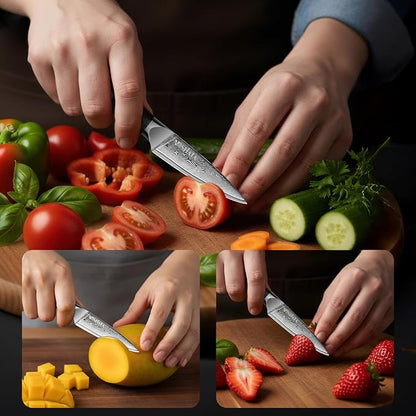 MOSFiATA Damascus Fruit Knife 4", Ultra Sharp Paring Knife, 67 Layers Damascus Steel VG10 Core Multipurpose Small Kitchen Knife Professional Peeling Knives, G10 Handle with Rivet Chef Gift