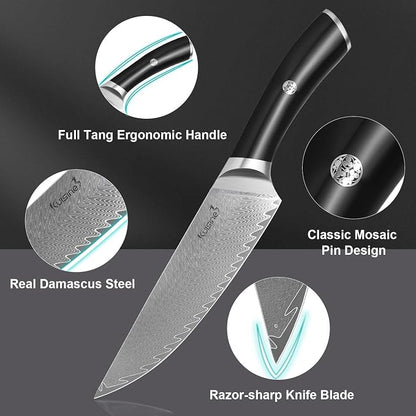Damascus Knife Block Set,Sharp Knife Set,Ergonomic Non-slip Handle,Chef Knife Set with Built-in Sharpener,Luxury Gift for Holiday(Silver,14PCS)