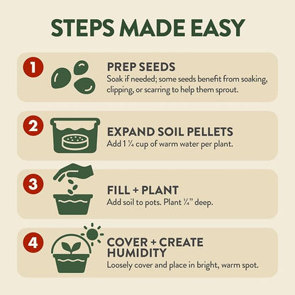 HOME GROWN Bonsai Tree Starter Kit – Unique Christmas Gift for Adults, Men, Women - Grow 4 Bonsais – DIY Crafts Hobby Gardening Kit for Plant Lovers, Mom, Dad - White Elephant Gifts for Adults