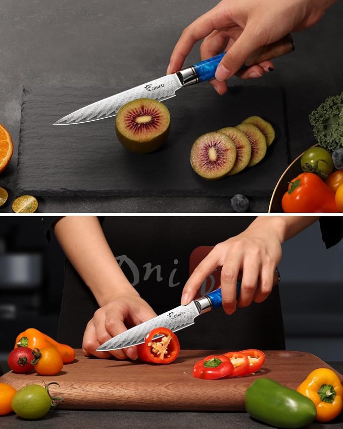 Kitchen Utility Knife 5 Inch, Japanese VG10 Steel Damascus Paring knife, Small Kitchen Chef Knife with Gift Box and Resin Wood Handle, Ideal Gift for Your Beloved Men or Women