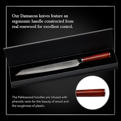 Hammer Stahl 10 Inch Damascus Slicer | Meat Cutting & BBQ Knife With Rosewood Handle | Carving Japanese Forged 67-Layer AUS10 Steel | Full-Tang Japanese Style Slicing With Gift Box