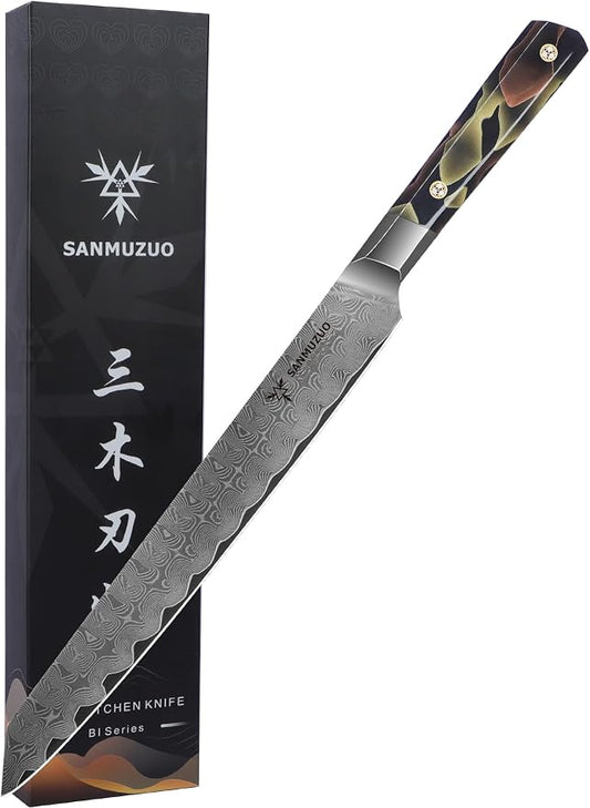 Meat Carving Knife 10 Inch, Professional Kitchen Slicing Knife, Ultra Sharp Damascus Powder Steel with Full-tang Resin Handle, Bi Series